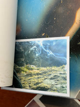 Division and Connection SP Edition