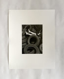 RADIUS - Special Edition