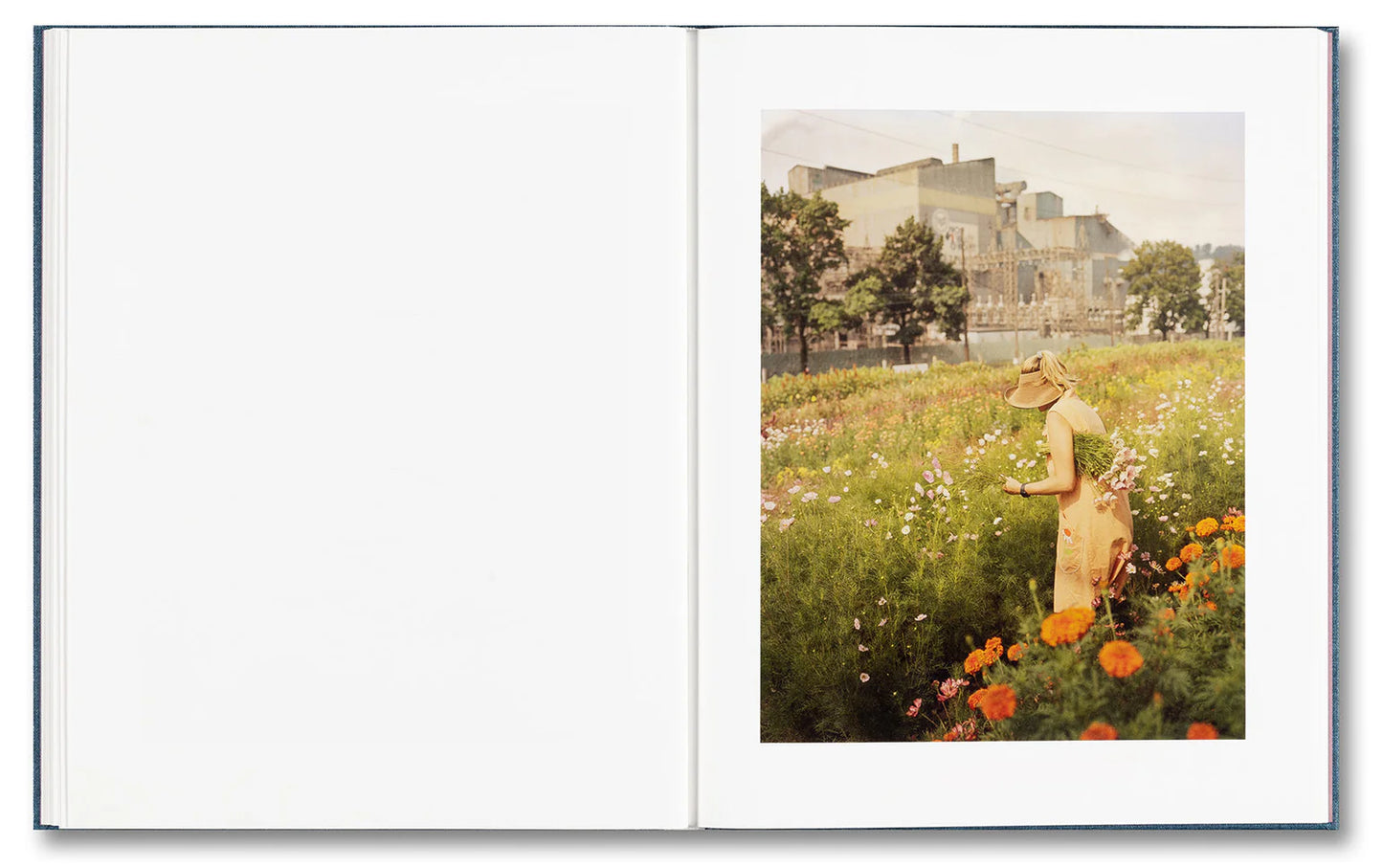 King, Queen, Knave - First printing [Signed]