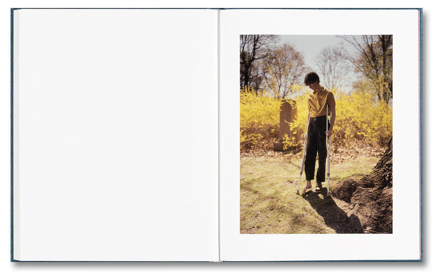 King, Queen, Knave - First printing [Signed]