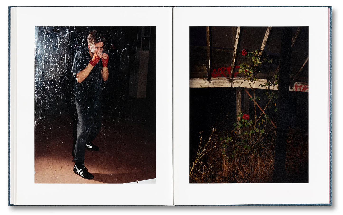 King, Queen, Knave - First printing [Signed]