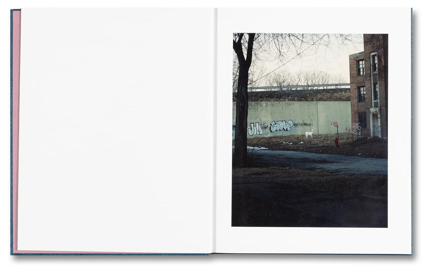 King, Queen, Knave - First printing [Signed]