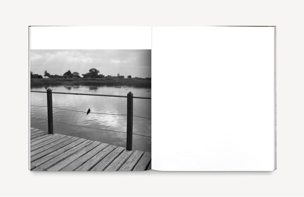 La sombra de un río [Signed]