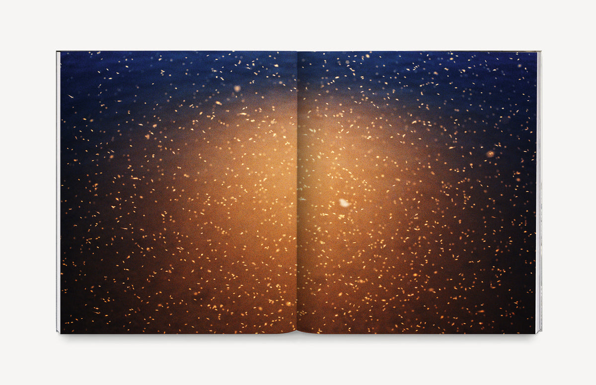 La sombra de un río [Signed]