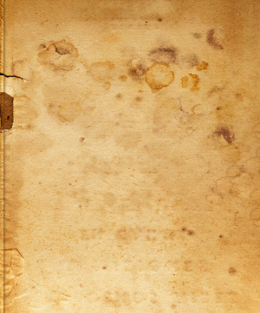 La sombra de un río [Signed]