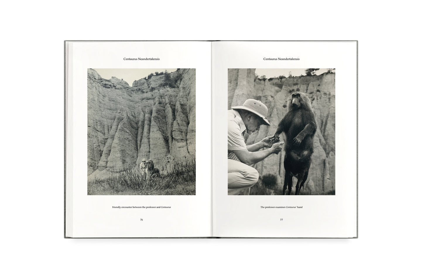 FAUNA [Signed]