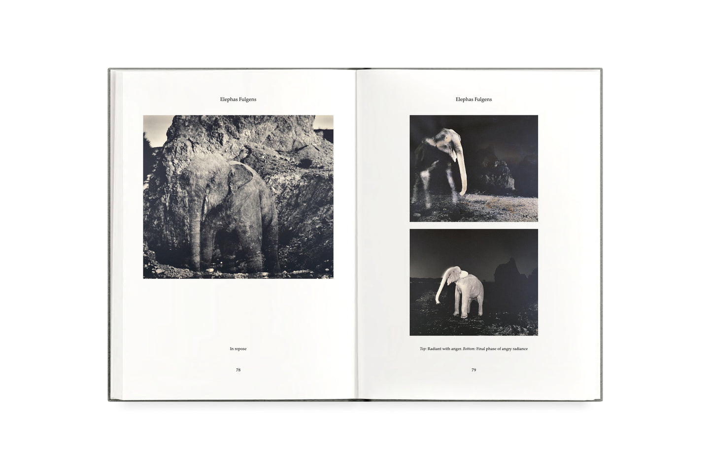 FAUNA [Signed]