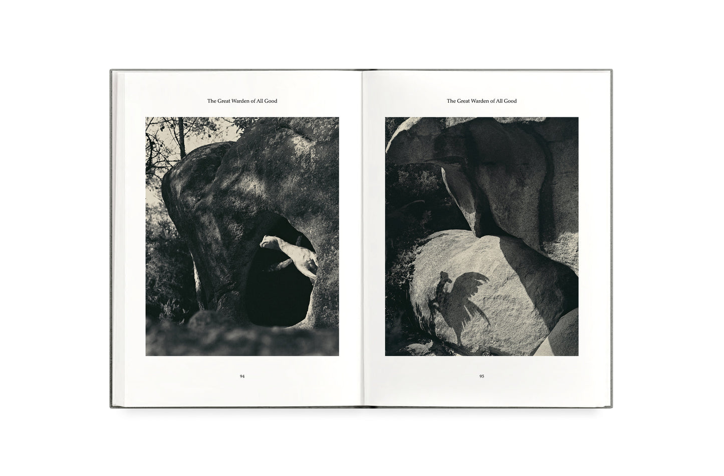 FAUNA [Signed]