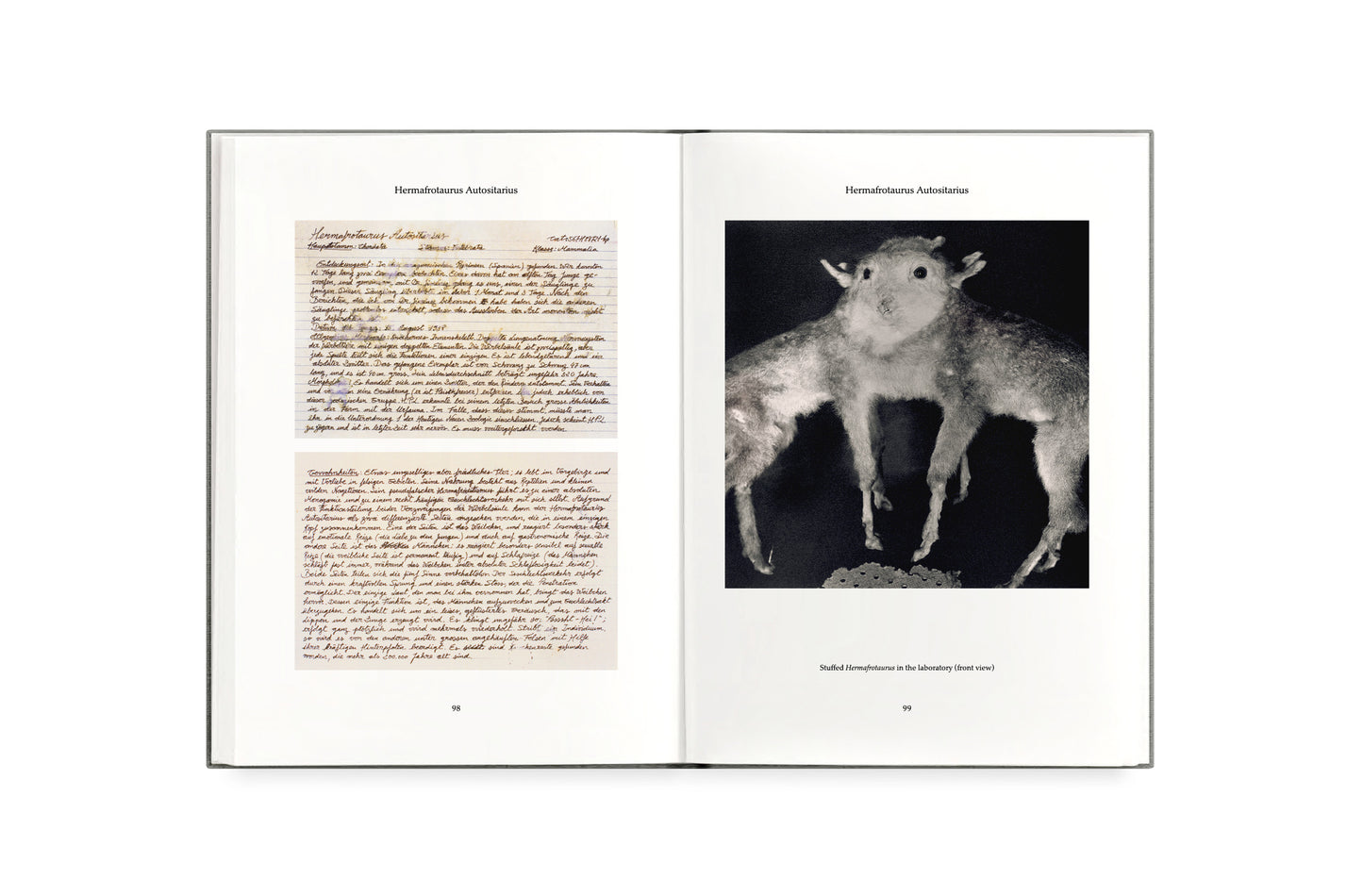 FAUNA [Signed]