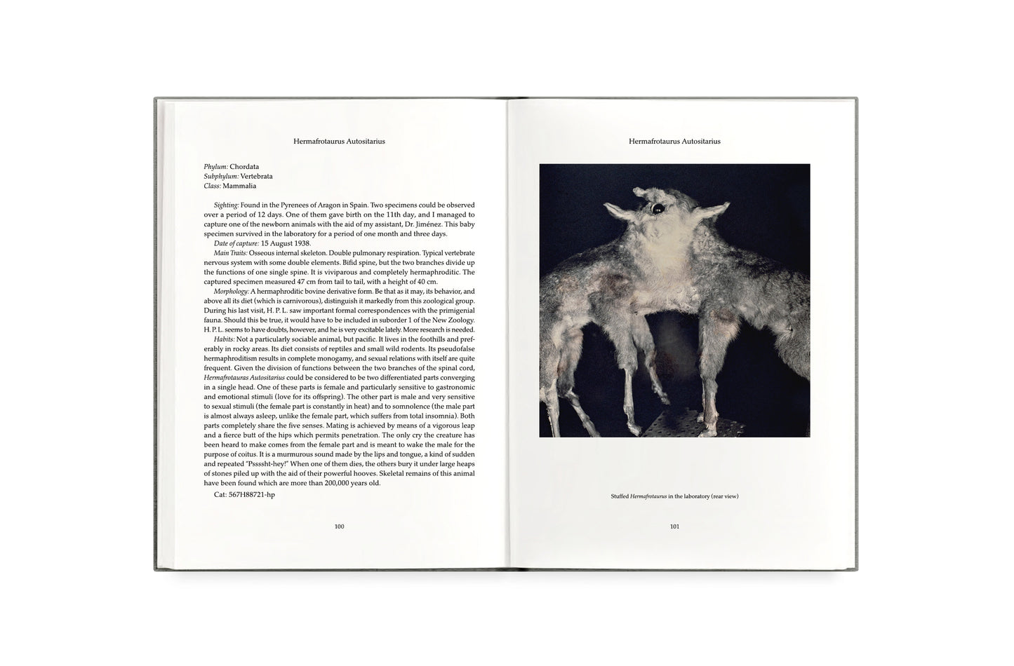 FAUNA [Signed]