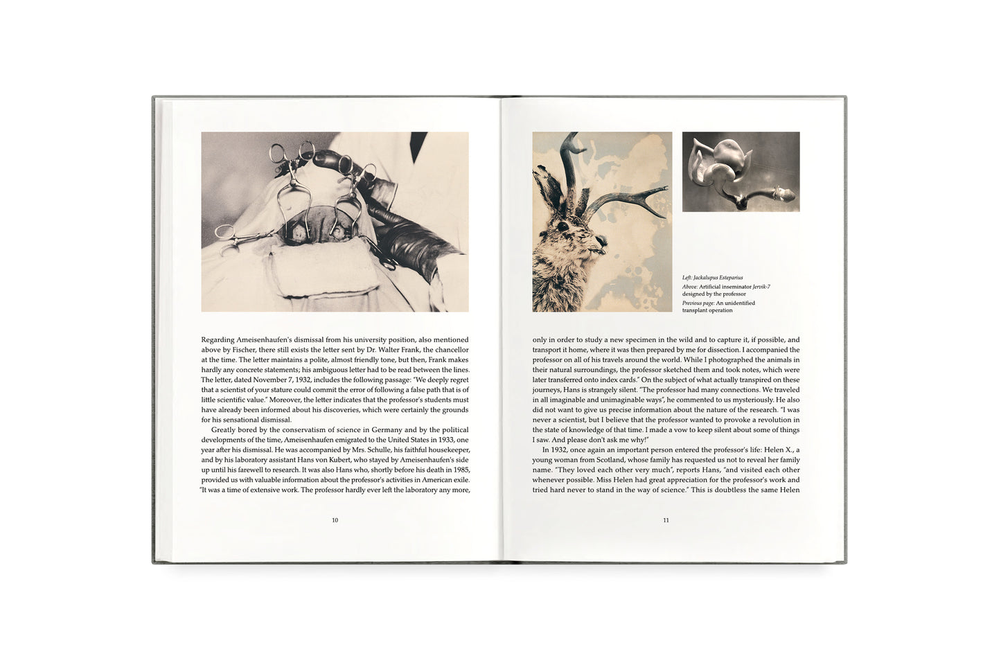 FAUNA [Signed]