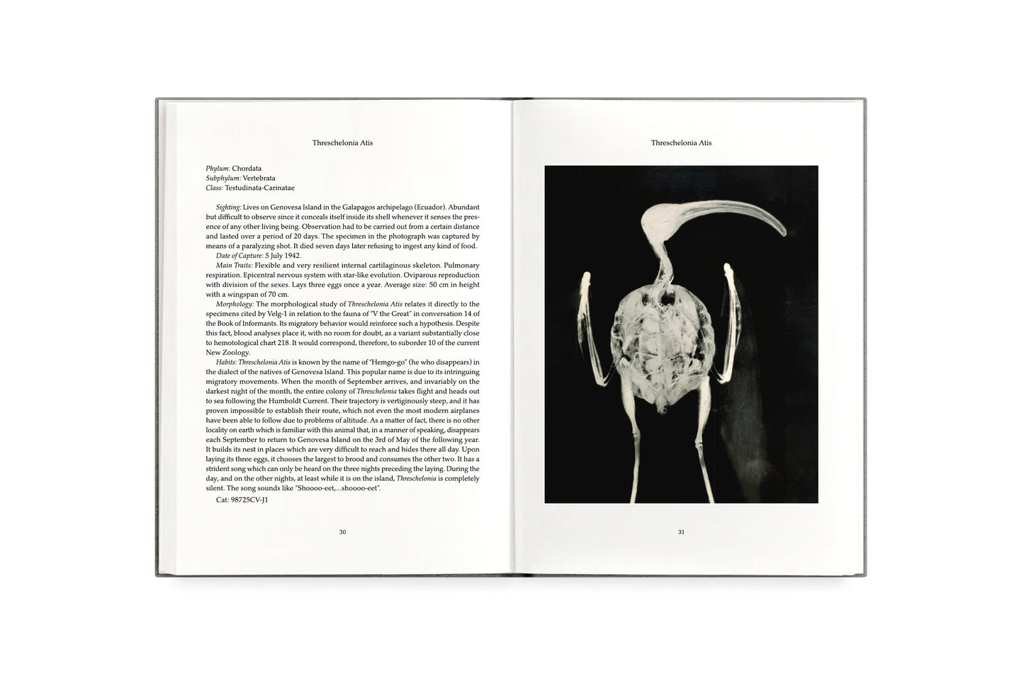 FAUNA [Signed]