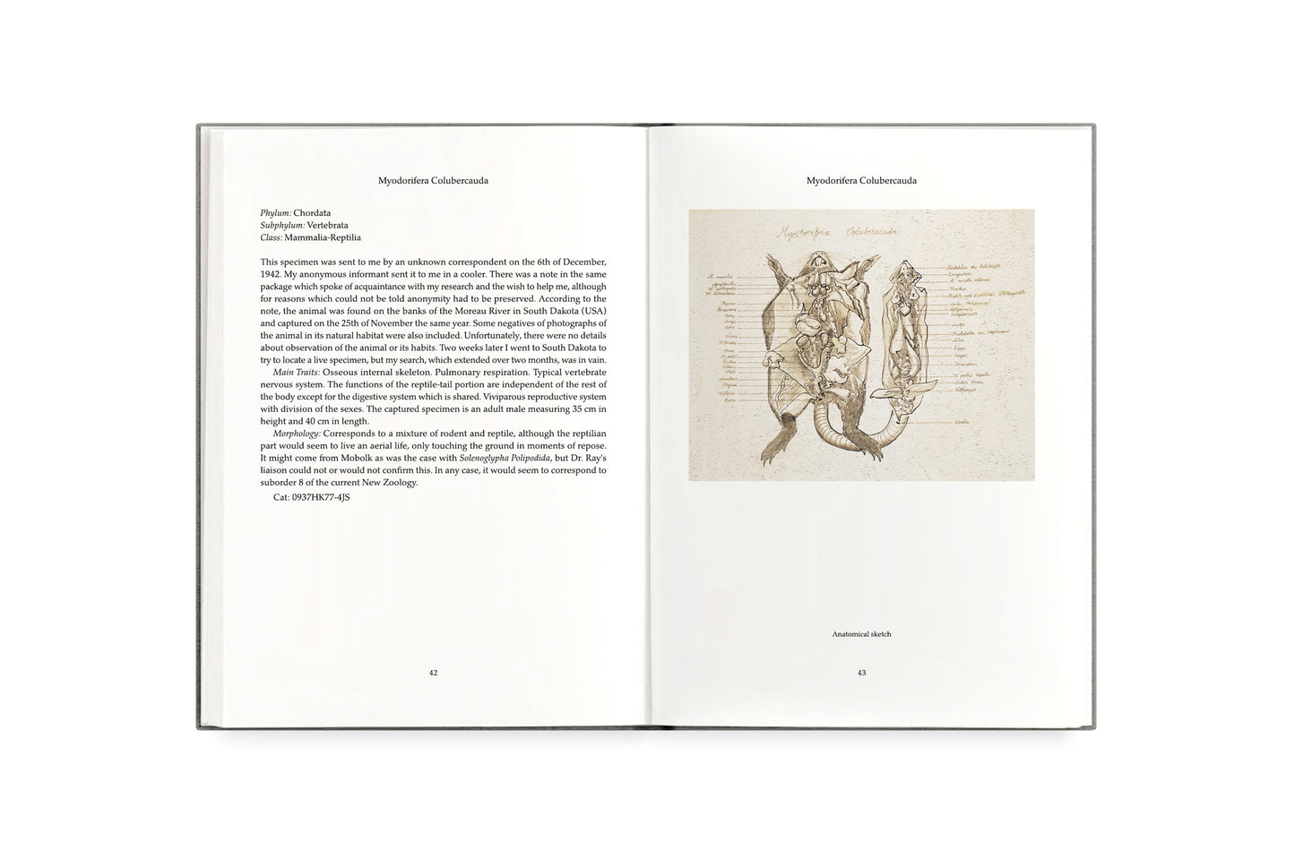 FAUNA [Signed]