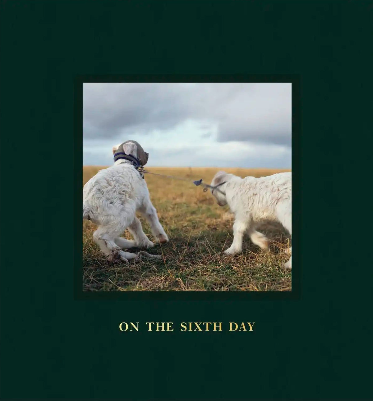 On the Sixth Day [Signed]