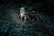 Blue Mud Swamp - signed