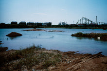 Blue Mud Swamp - signed