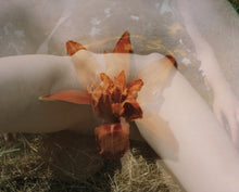 PETAL signed copy