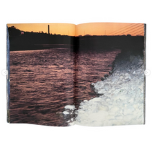 Plants, middle reaches of Tama River, winter - signed