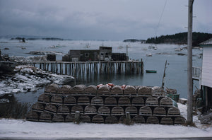 Sealskin