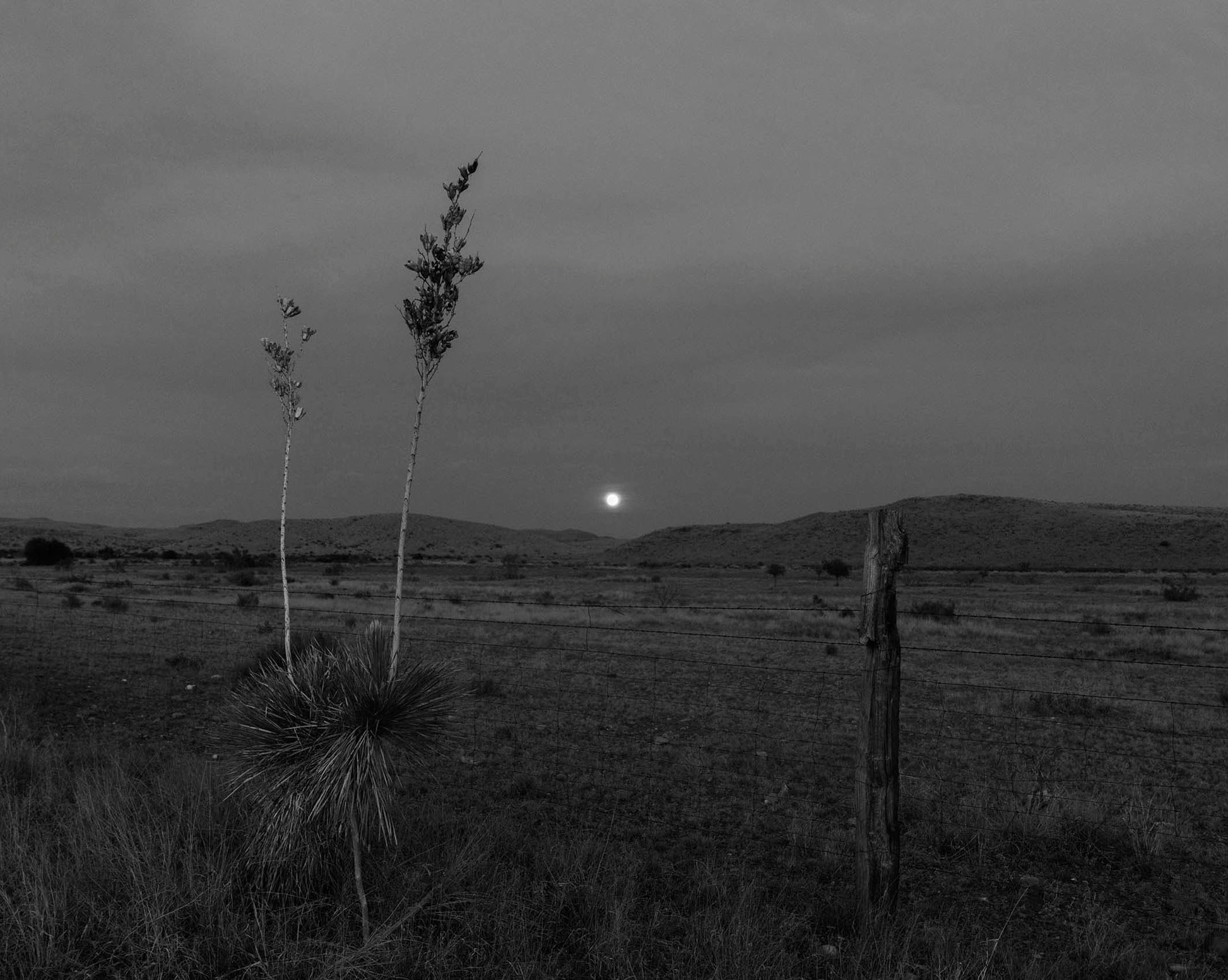West Texas Moonrise, 2020 by Bryan Schutmaat
