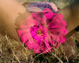 PETAL signed copy