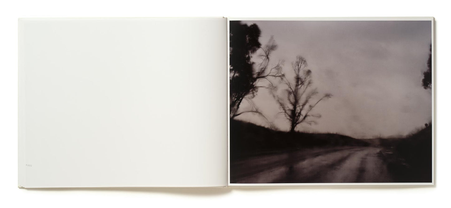 A Road Divided [Signed]