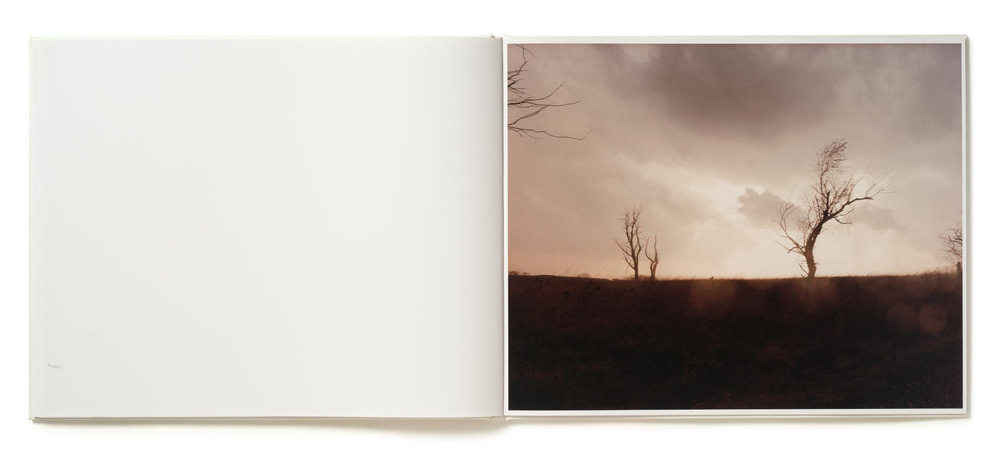 A Road Divided [Signed]