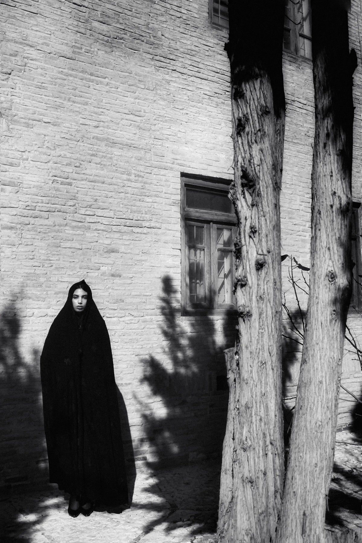 Between Light and Memory — Shadi Nadimi