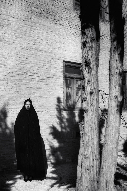 Between Light and Memory — Shadi Nadimi