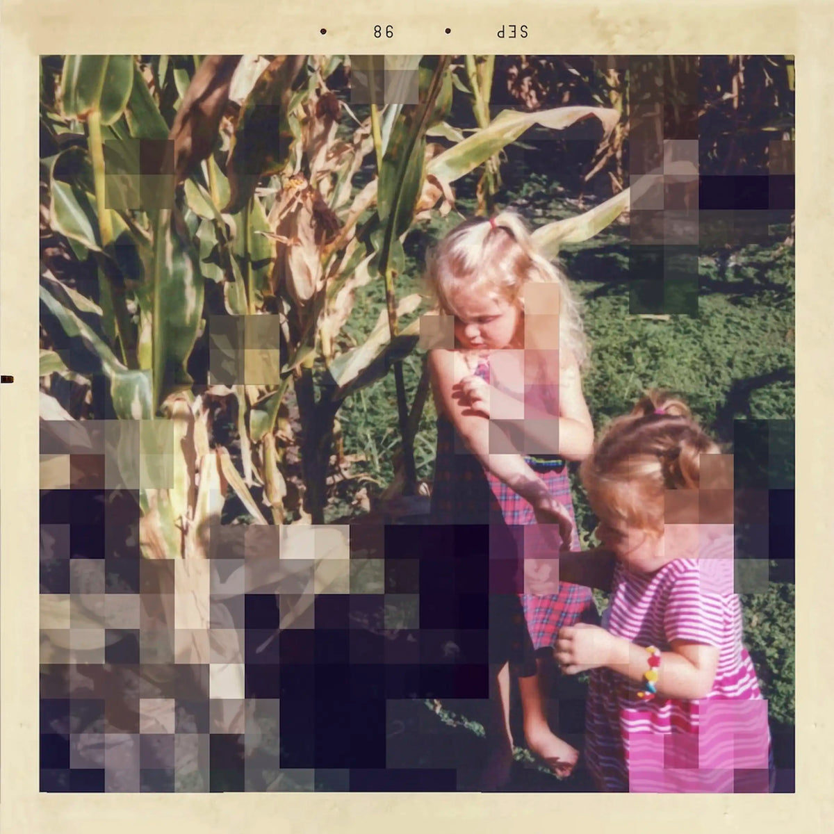 Cornfield, 1998 — Epiphany Knedler