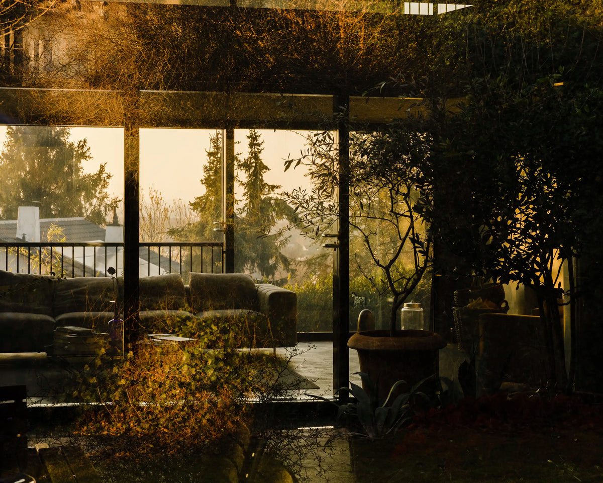 Courtyard, Koechlin House, 2021 — Daisuke Hirabayashi