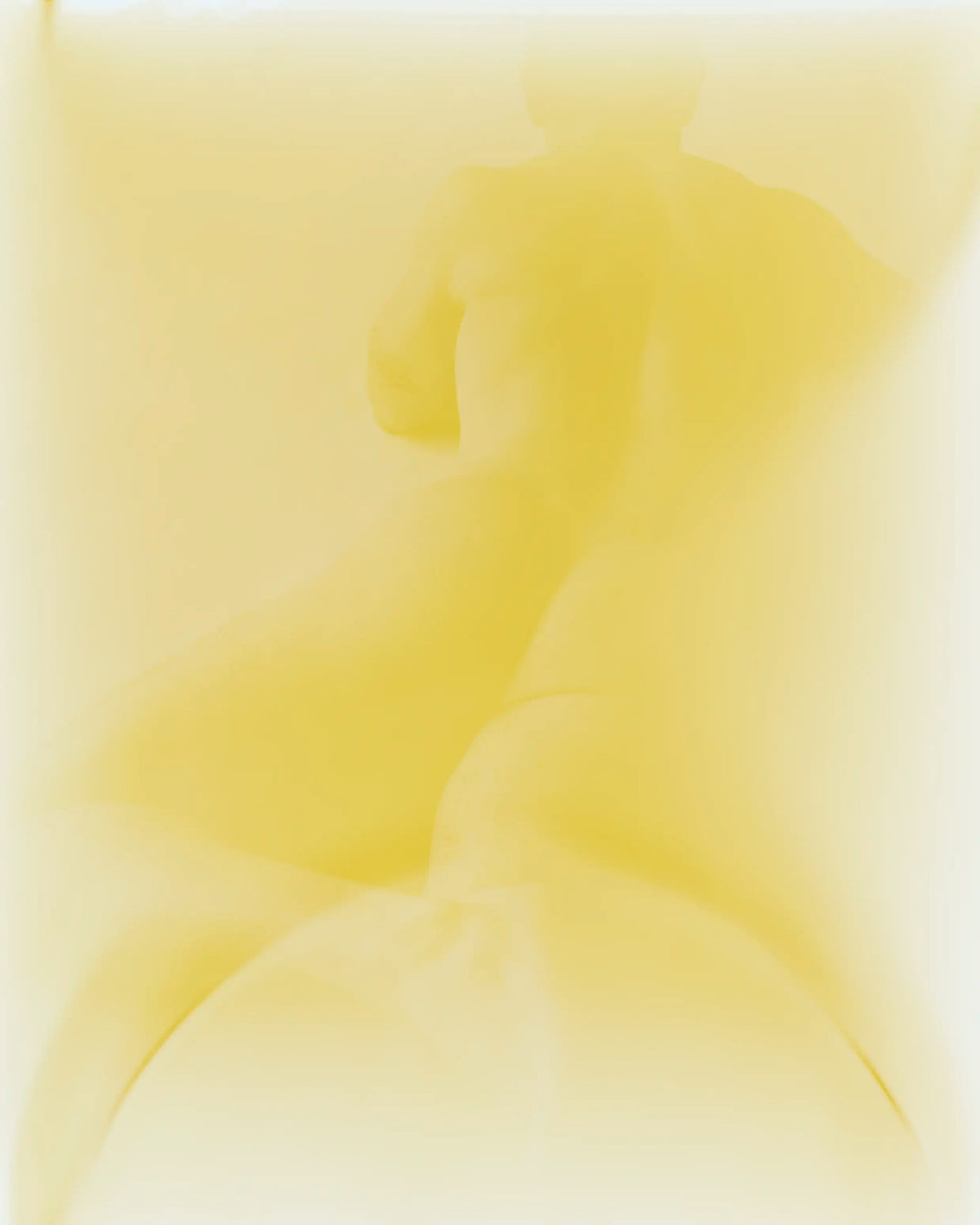 Craig Reading, Photogram, 2026 — Daniel Trese