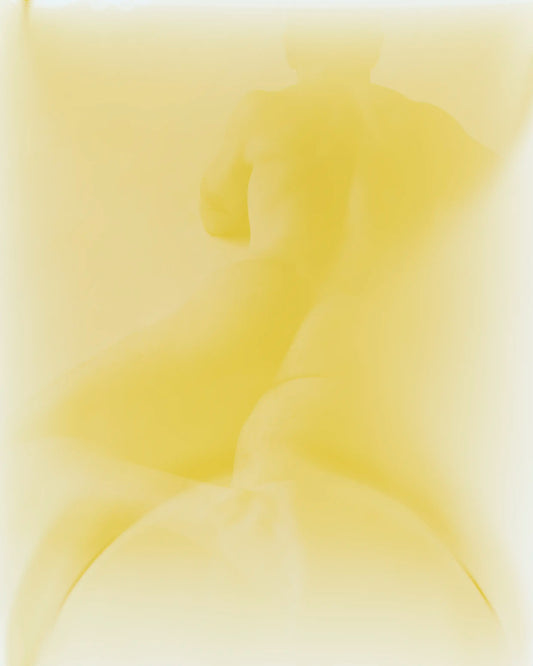 Craig Reading, Photogram, 2026 — Daniel Trese