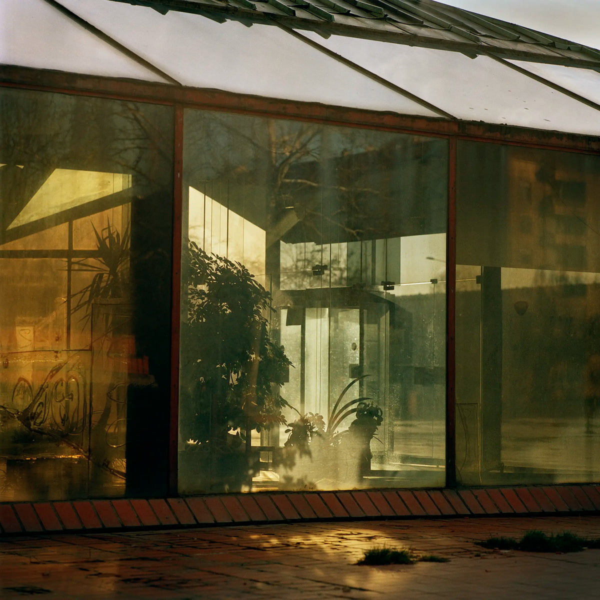 Foyer, Genex — Xiaofu Wang