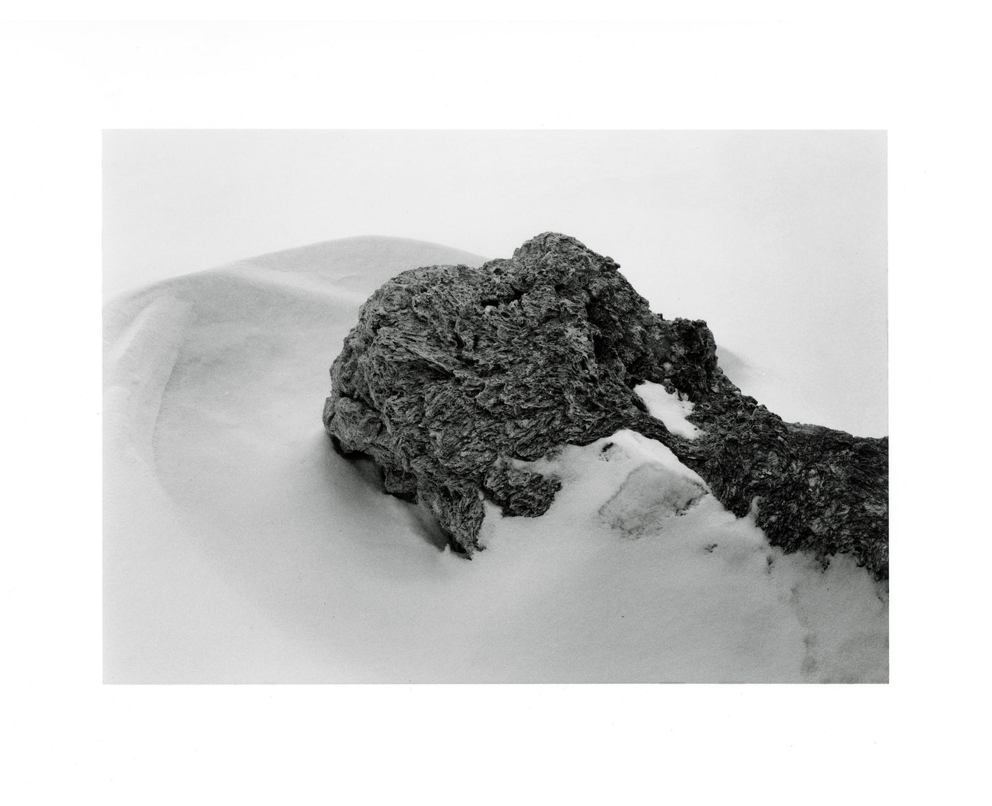 RADIUS - Special Edition