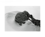 RADIUS - Special Edition