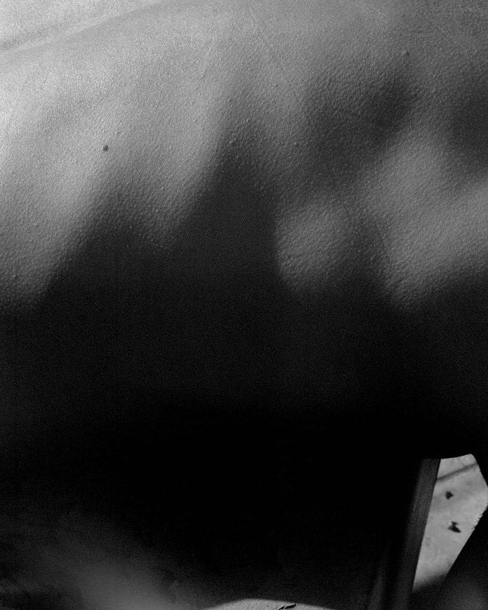 RADIUS [Signed]
