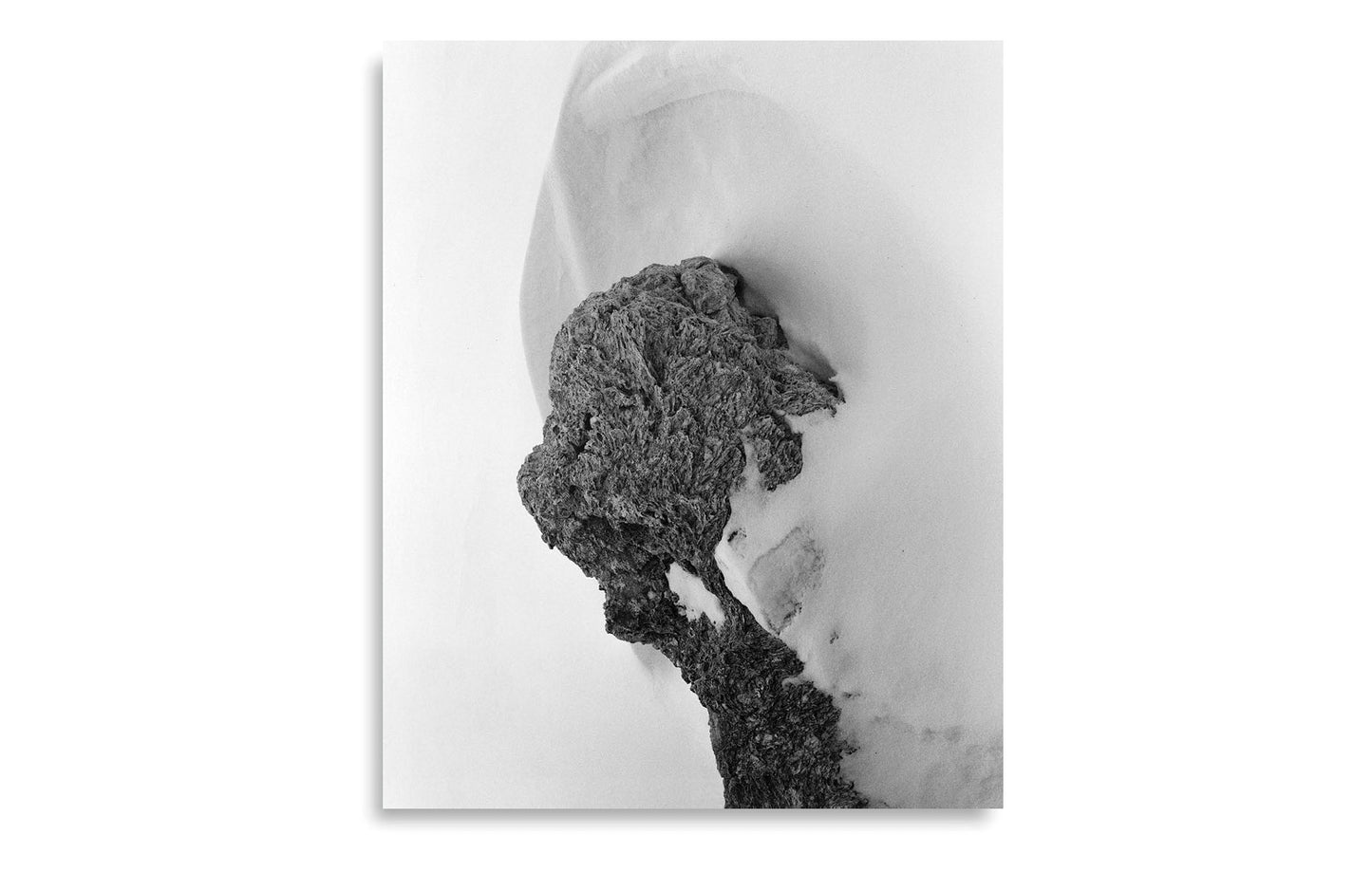 RADIUS [Signed]