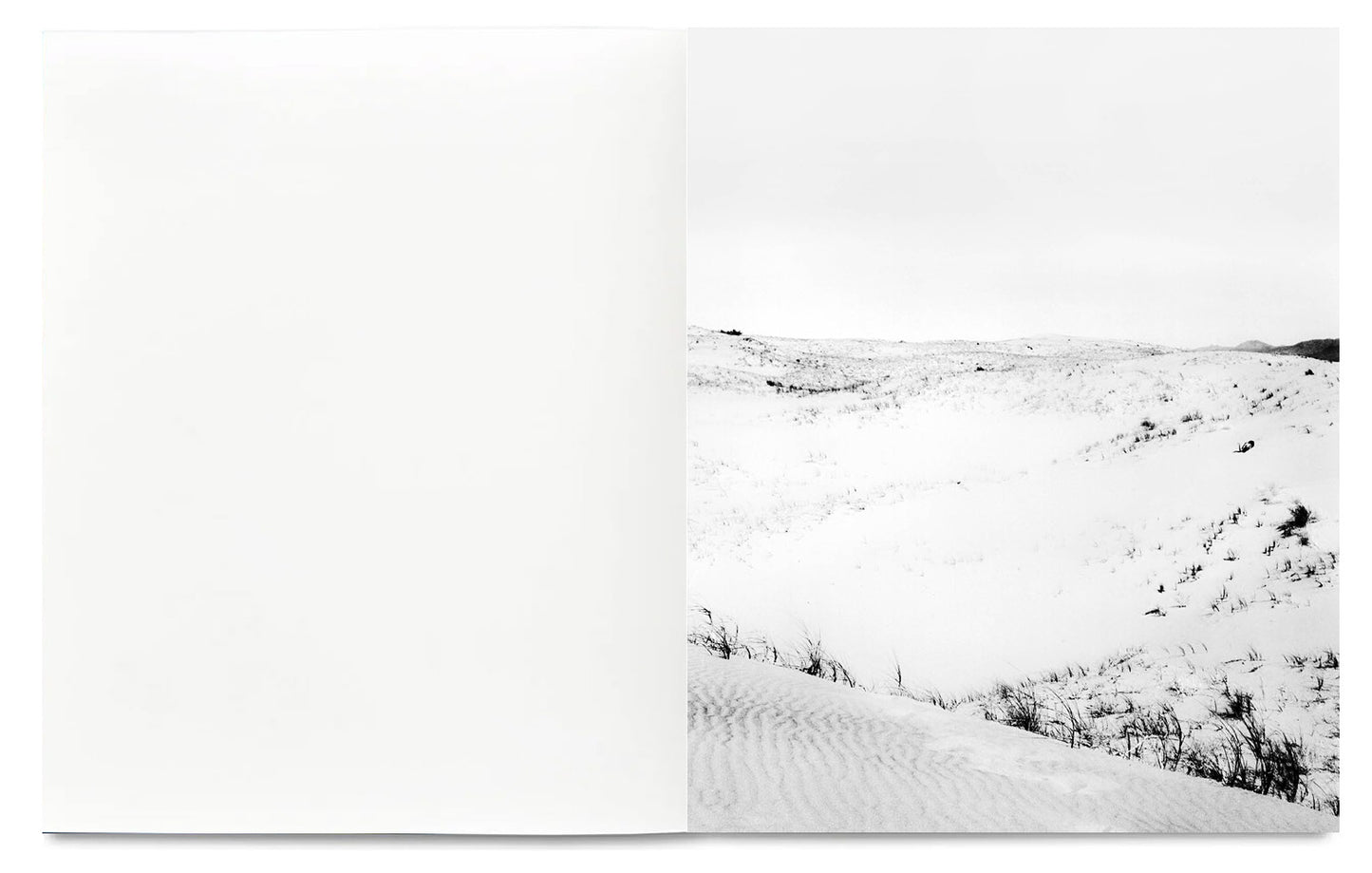 RADIUS [Signed]