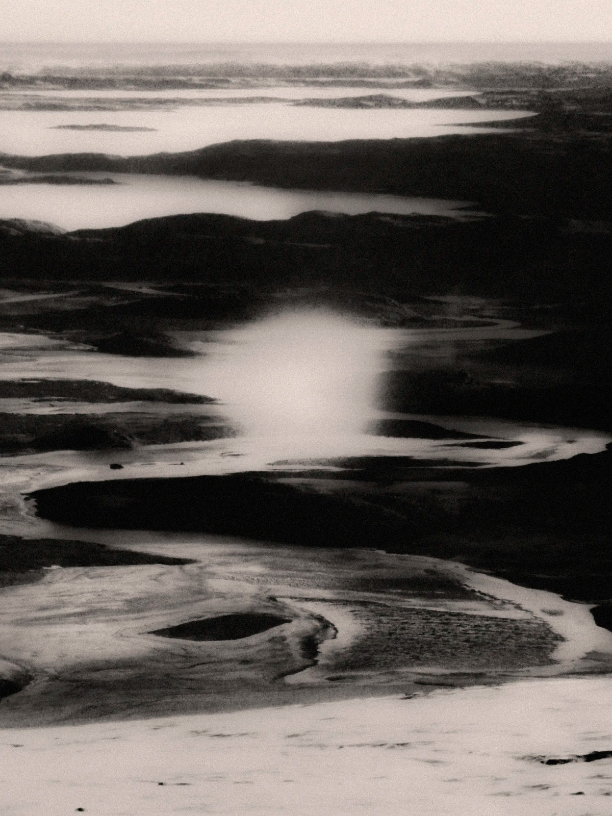 Oasis — Francisco Gonzalez Camacho