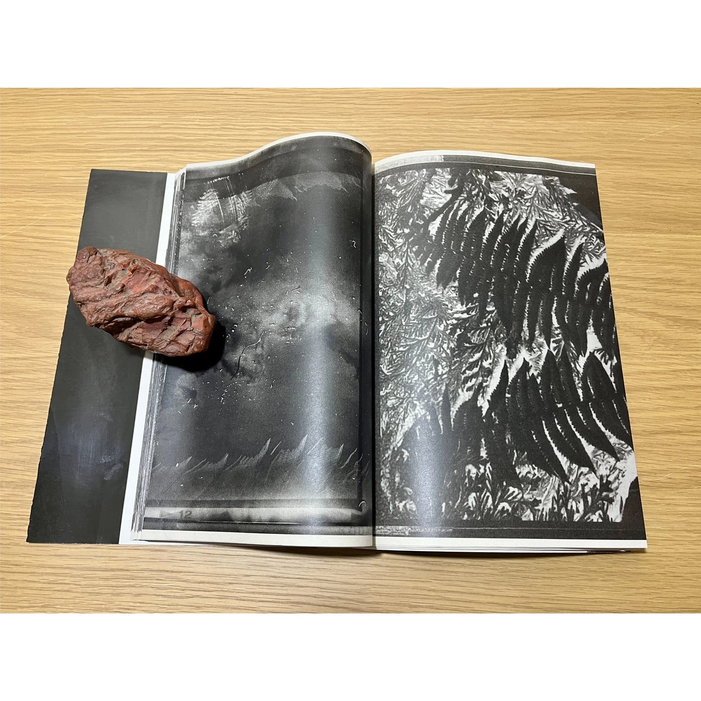 Inversion.Negative [Signed]