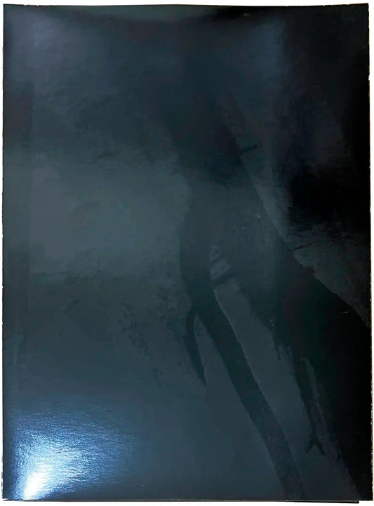 Inversion.Negative [Signed]
