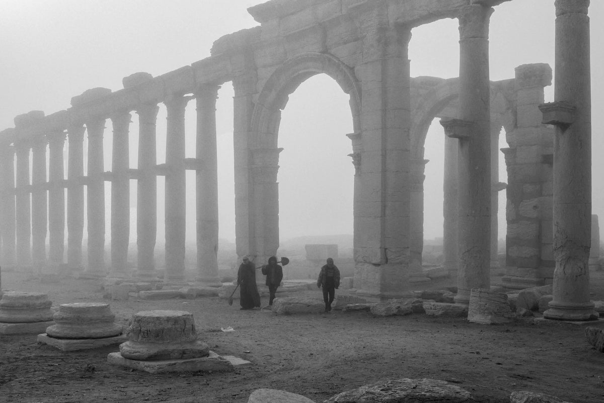 Palmyra — Sergio Attanasio