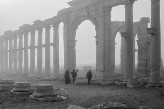 Palmyra — Sergio Attanasio