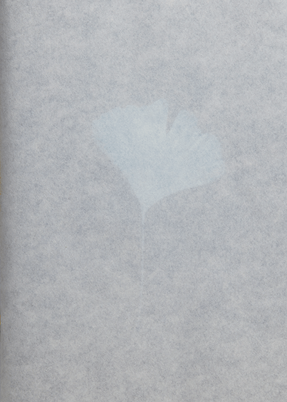 Remembering you [Signed]
