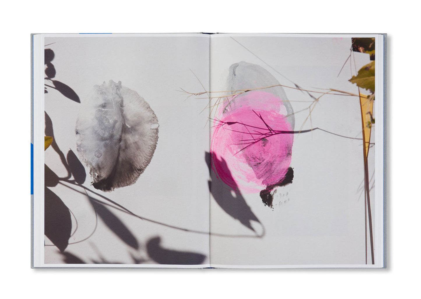 ROXANE II [Signed]