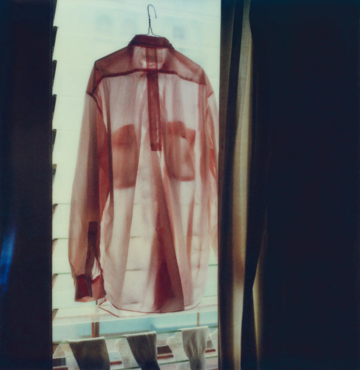 L.A. Polaroids