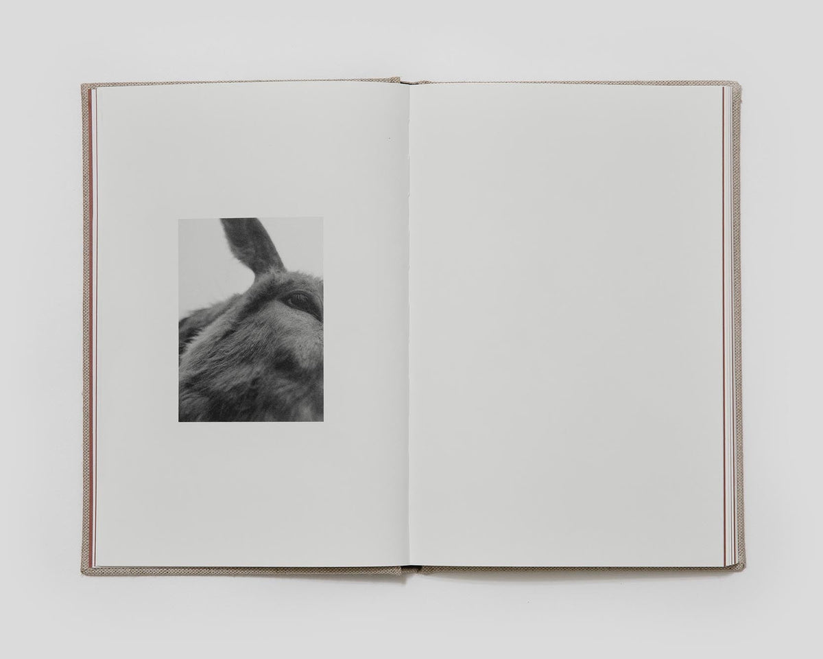County Road - First Edition