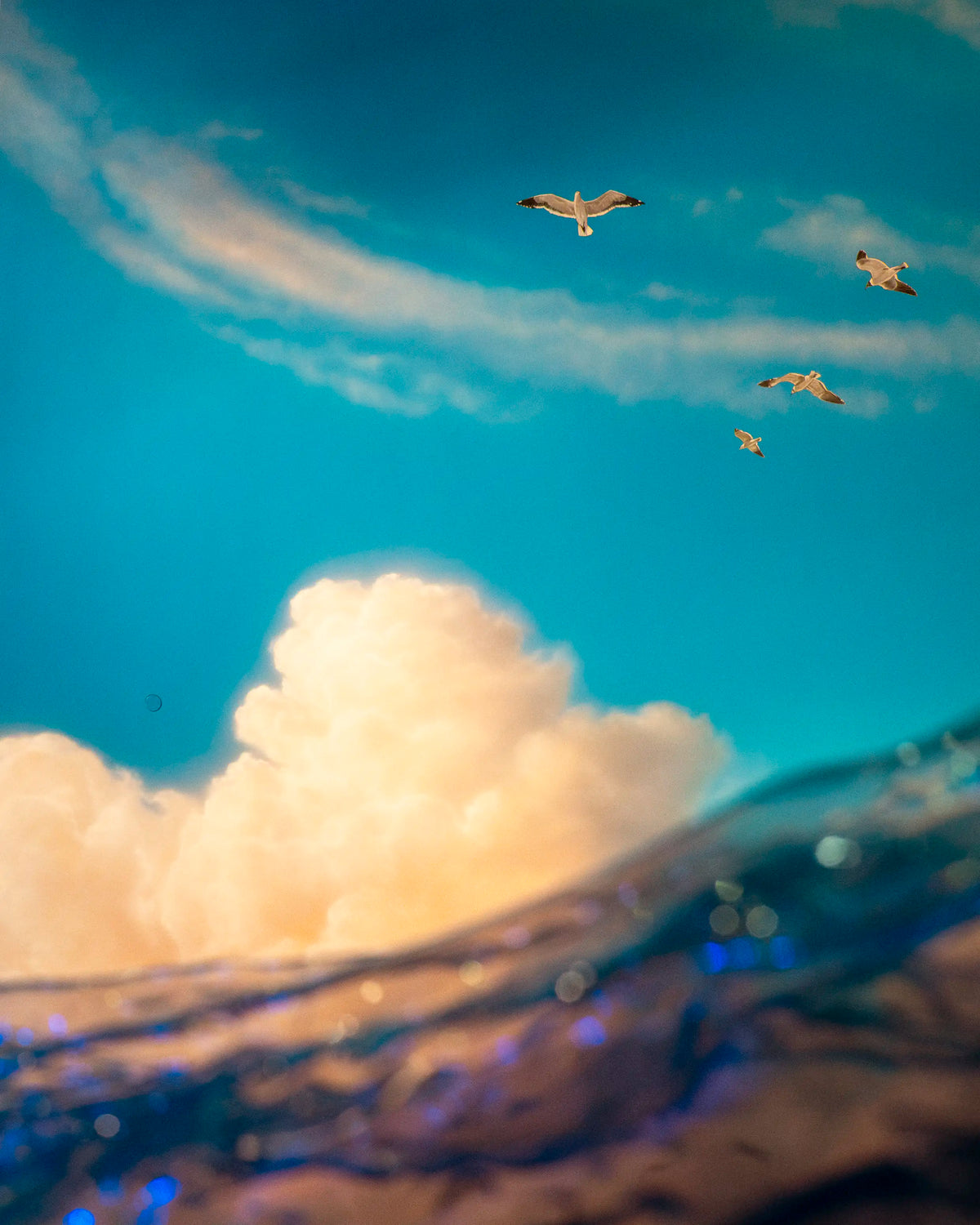 Sunset at the Bass Pro Shop — Nathaniel Grann