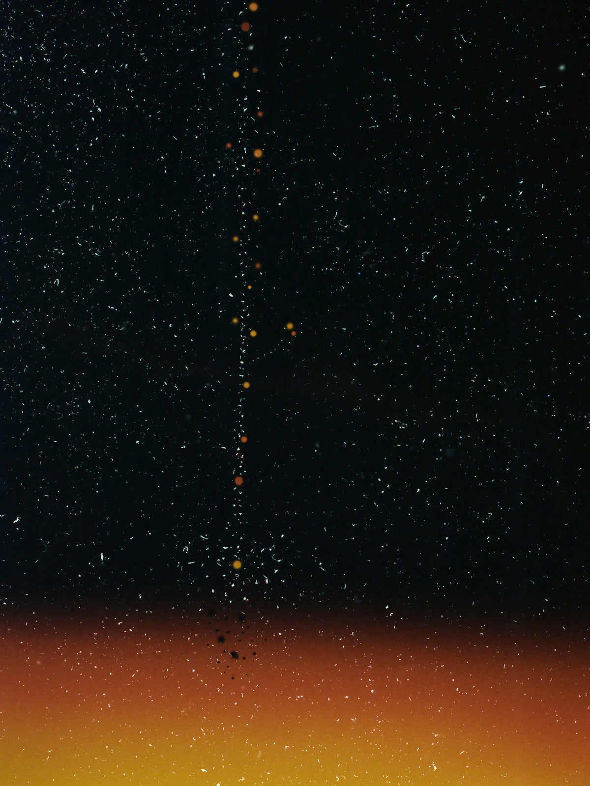 Traces #11 — Alvaro Deprit